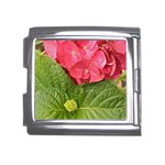 Pink Geranium - Ruth E Anderson -  Mega Link Italian Charm (18mm)