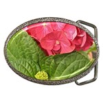 Pink Geranium - Ruth E Anderson -  Belt Buckle