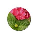 Pink Geranium - Ruth E Anderson -  Rubber Coaster (Round)