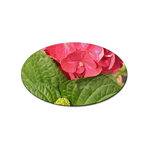 Pink Geranium Front