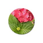 Pink Geranium - Ruth E Anderson -  Magnet 3  (Round)