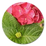 Pink Geranium - Ruth E Anderson -  Magnet 5  (Round)