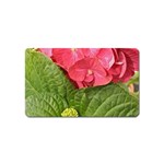 Pink Geranium - Ruth E Anderson -  Magnet (Name Card)