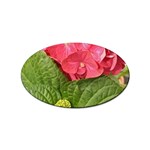 Pink Geranium - Ruth E Anderson -  Sticker Oval (100 pack)