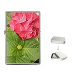 Pink Geranium - Ruth E Anderson -  Flip Top Lighter