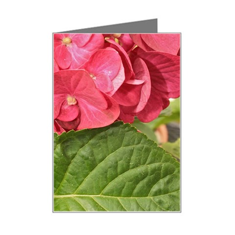 Pink Geranium Left
