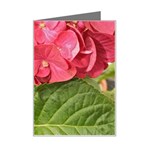 Pink Geranium - Ruth E Anderson -  Mini Greeting Card