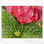 Pink Geranium - Ruth E Anderson -  Jigsaw Puzzle (Rectangular)