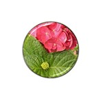 Pink Geranium - Ruth E Anderson -  Hat Clip Ball Marker