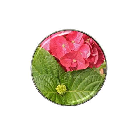 Pink Geranium Front
