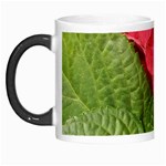Pink Geranium - Ruth E Anderson -  Morph Mug
