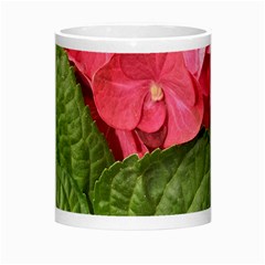 Pink Geranium Center