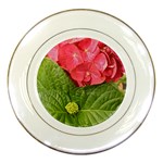Pink Geranium - Ruth E Anderson -  Porcelain Plate