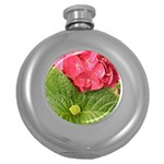Pink Geranium - Ruth E Anderson -  Hip Flask (5 oz)