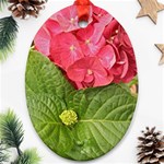 Pink Geranium - Ruth E Anderson -  Oval Ornament (Two Sides)