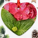 Pink Geranium - Ruth E Anderson -  Heart Ornament (Two Sides)