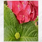 Pink Geranium - Ruth E Anderson -  Canvas 8  x 10 