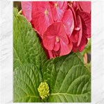 Pink Geranium - Ruth E Anderson -  Canvas 12  x 16 