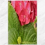 Pink Geranium - Ruth E Anderson -  Canvas 12  x 18 