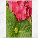 Pink Geranium - Ruth E Anderson -  Canvas 16  x 20 