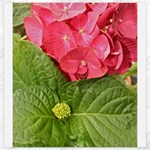 Pink Geranium - Ruth E Anderson -  Canvas 20  x 20 