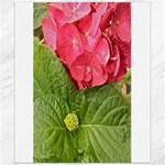 Pink Geranium - Ruth E Anderson -  Canvas 20  x 24 