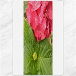 Pink Geranium - Ruth E Anderson -  Canvas 20  x 30 