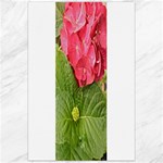 Pink Geranium - Ruth E Anderson -  Canvas 24  x 36 