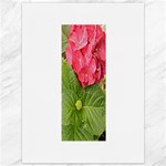 Pink Geranium - Ruth E Anderson -  Canvas 36  x 48 