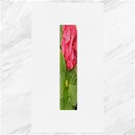 Pink Geranium - Ruth E Anderson -  Canvas 40  x 72 