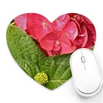 Pink Geranium - Ruth E Anderson -  Mousepad (Heart)