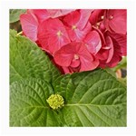 Pink Geranium - Ruth E Anderson -  Glasses Cloth (Medium, Two Sides)