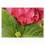 Pink Geranium - Ruth E Anderson -  Glasses Cloth (Large)