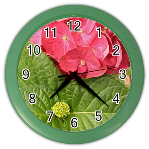 Pink Geranium Front