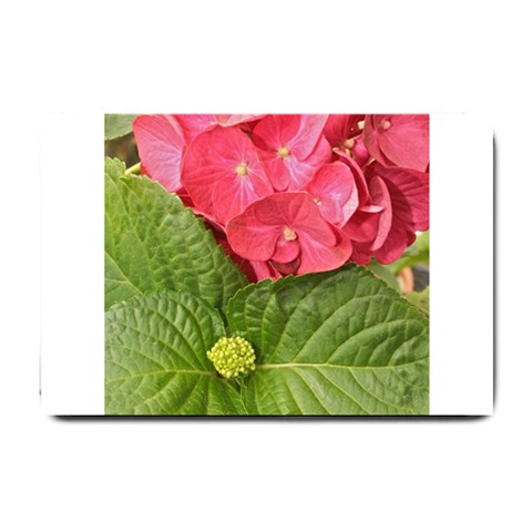 Pink Geranium 24 x16  Door Mat