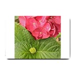 Pink Geranium - Ruth E Anderson -  Small Doormat