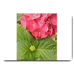 Pink Geranium - Ruth E Anderson -  Large Doormat