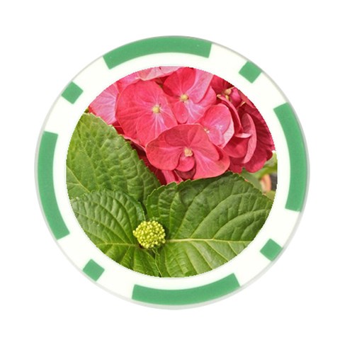 Pink Geranium Front