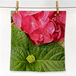 Pink Geranium - Ruth E Anderson -  Face Towel
