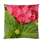 Pink Geranium - Ruth E Anderson -  Cushion Case (One Side)