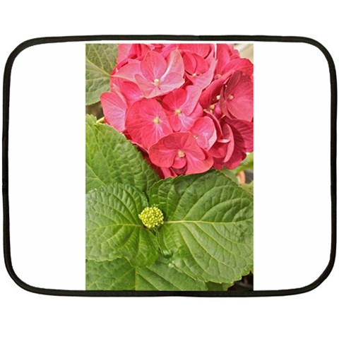 Pink Geranium 35 x27  Blanket Front
