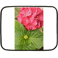 Pink Geranium 35 x27  Blanket Back