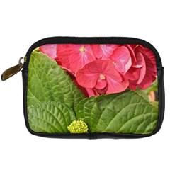 Pink Geranium Front