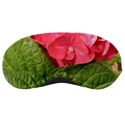 Pink Geranium Front
