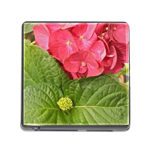 Pink Geranium Front