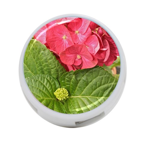 Pink Geranium Front