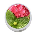 Pink Geranium - Ruth E Anderson -  4-Port USB Hub (Two Sides)