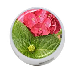 Pink Geranium Back