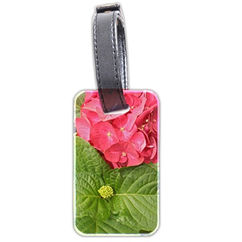 Pink Geranium Front