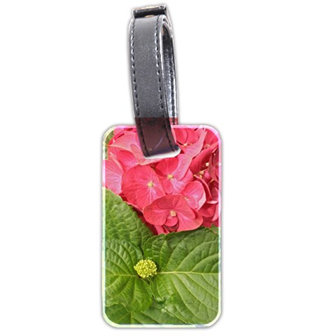 Pink Geranium Back
